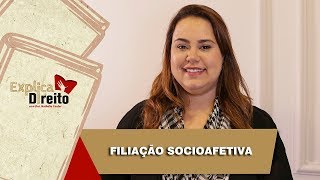 Explica Direito Filiação Socioafetiva  2019 [upl. by Rammus735]