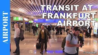 TRANSIT WALK AT FRANKFURT Airport FRA Terminal 1  Connection Flight Transfer Arriving amp Departing [upl. by Oguh]